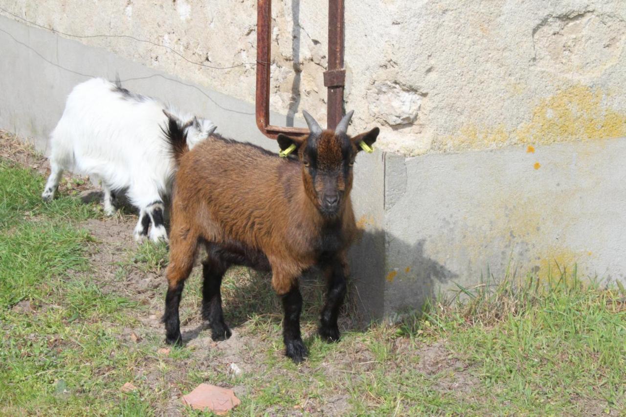 Ferme Des Poulardieres Crouy-sur-Cosson Εξωτερικό φωτογραφία