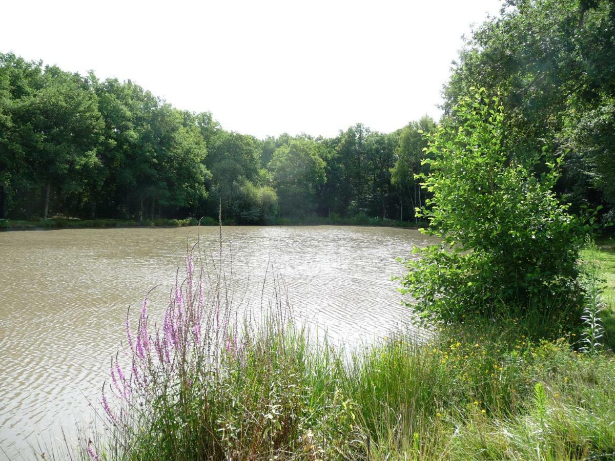 Ferme Des Poulardieres Crouy-sur-Cosson Εξωτερικό φωτογραφία