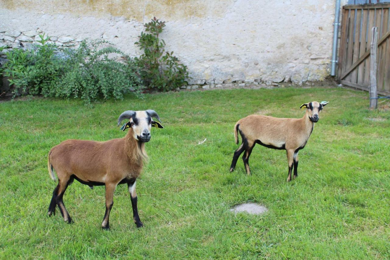 Ferme Des Poulardieres Crouy-sur-Cosson Εξωτερικό φωτογραφία